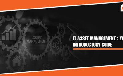 IT Asset Management: Your Introductory Guide